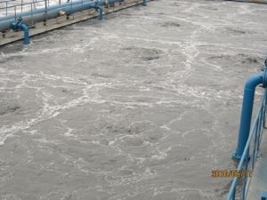 點擊查看詳細信息<br>標題：射流曝氣 閱讀次數：6193